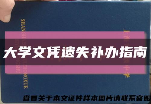 大学文凭遗失补办指南缩略图