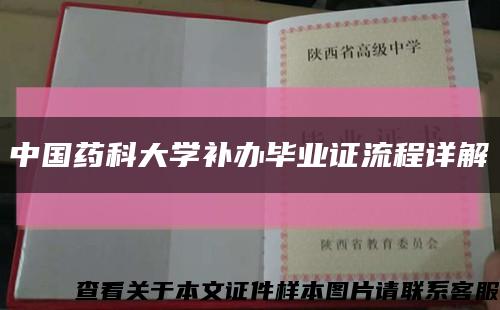 中国药科大学补办毕业证流程详解缩略图