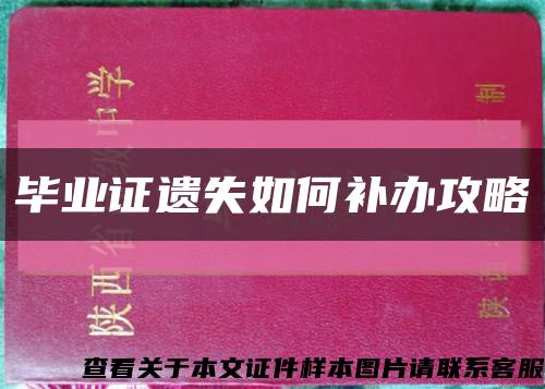 毕业证遗失如何补办攻略缩略图