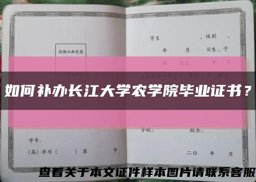 如何补办长江大学农学院毕业证书？缩略图