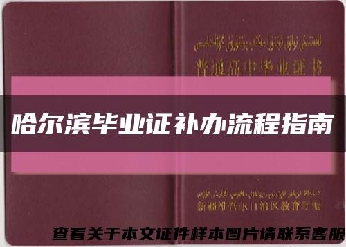 哈尔滨毕业证补办流程指南缩略图