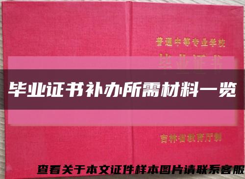 毕业证书补办所需材料一览缩略图