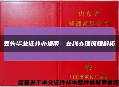 丢失毕业证补办指南：在线办理流程解析缩略图