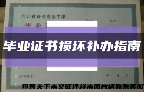 毕业证书损坏补办指南缩略图