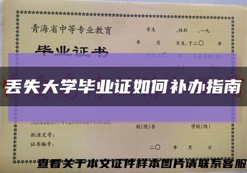 丢失大学毕业证如何补办指南缩略图