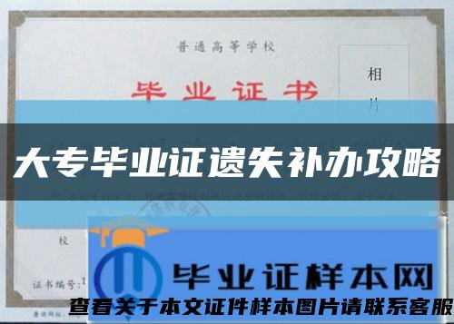 大专毕业证遗失补办攻略缩略图