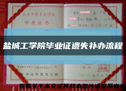 盐城工学院毕业证遗失补办流程缩略图