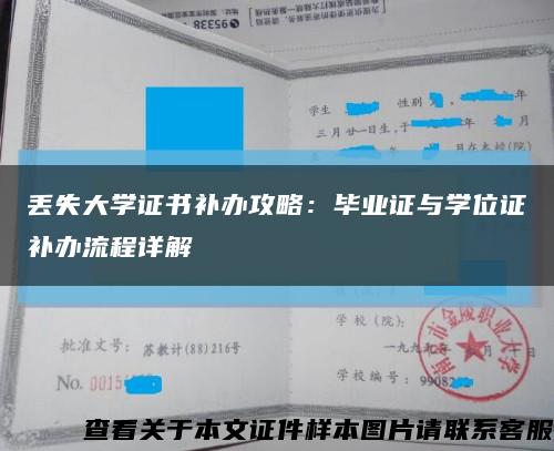 丢失大学证书补办攻略：毕业证与学位证补办流程详解缩略图