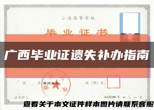 广西毕业证遗失补办指南缩略图