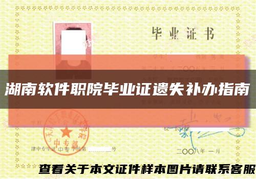 湖南软件职院毕业证遗失补办指南缩略图