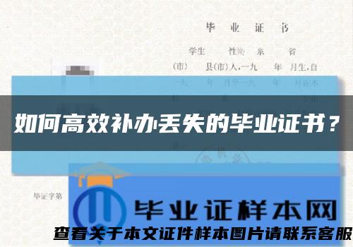 如何高效补办丢失的毕业证书？缩略图