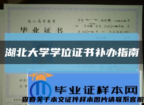 湖北大学学位证书补办指南缩略图