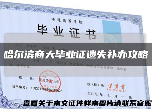 哈尔滨商大毕业证遗失补办攻略缩略图