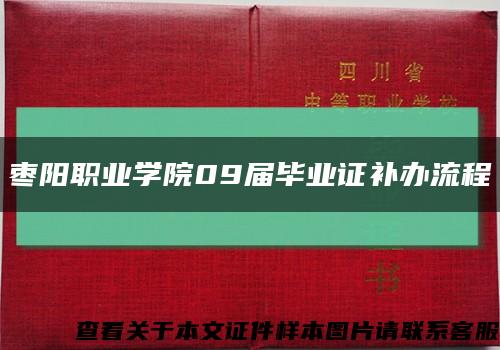 枣阳职业学院09届毕业证补办流程缩略图