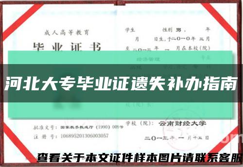 河北大专毕业证遗失补办指南缩略图