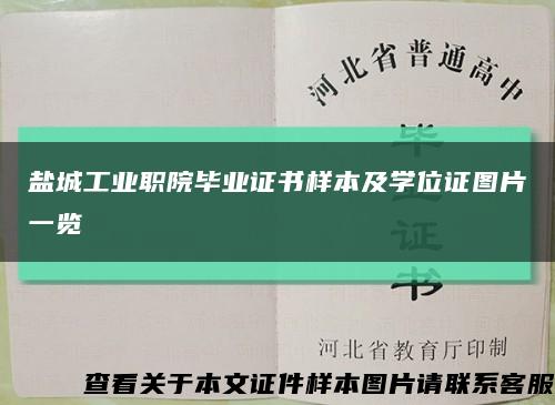 盐城工业职院毕业证书样本及学位证图片一览缩略图