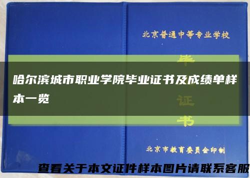 哈尔滨城市职业学院毕业证书及成绩单样本一览缩略图