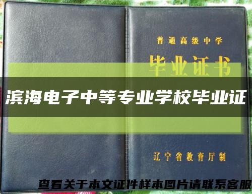 滨海电子中等专业学校毕业证缩略图