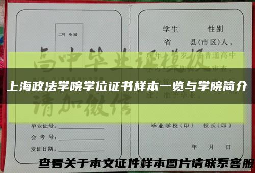 上海政法学院学位证书样本一览与学院简介缩略图