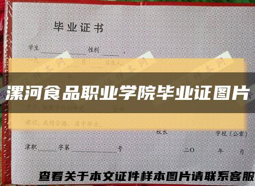 漯河食品职业学院毕业证图片缩略图