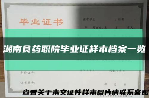 湖南食药职院毕业证样本档案一览缩略图