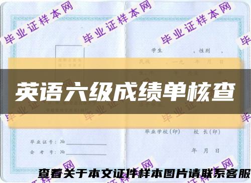 英语六级成绩单核查缩略图