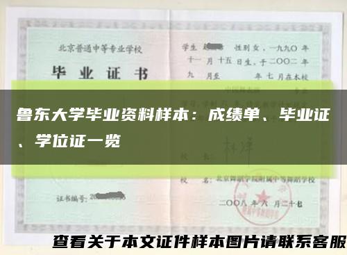 鲁东大学毕业资料样本：成绩单、毕业证、学位证一览缩略图