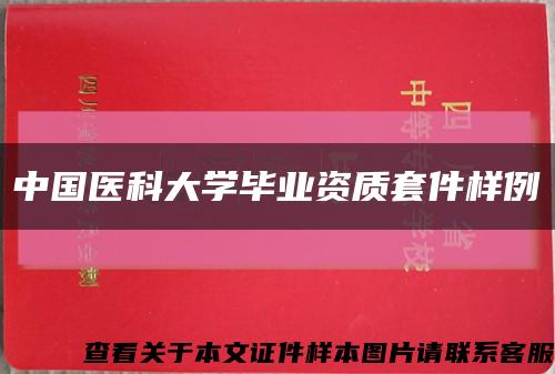 中国医科大学毕业资质套件样例缩略图