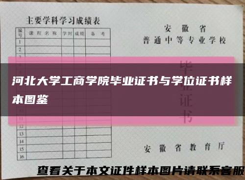 河北大学工商学院毕业证书与学位证书样本图鉴缩略图