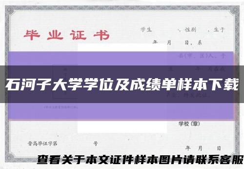 石河子大学学位及成绩单样本下载缩略图