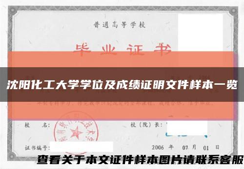 沈阳化工大学学位及成绩证明文件样本一览缩略图