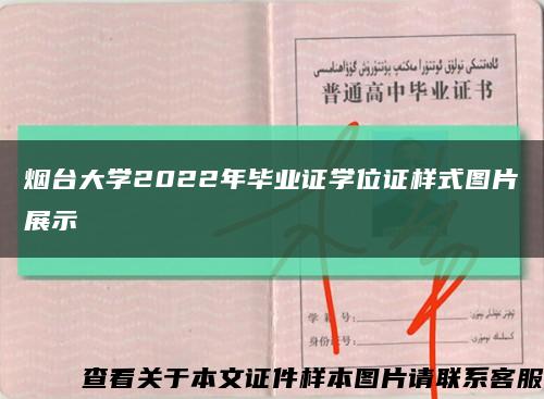 烟台大学2022年毕业证学位证样式图片展示缩略图