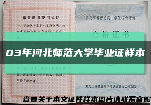 03年河北师范大学毕业证样本缩略图