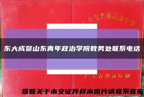 东大成贤山东青年政治学院教务处联系电话缩略图