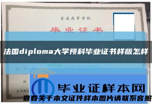 法国diploma大学预科毕业证书样版怎样缩略图