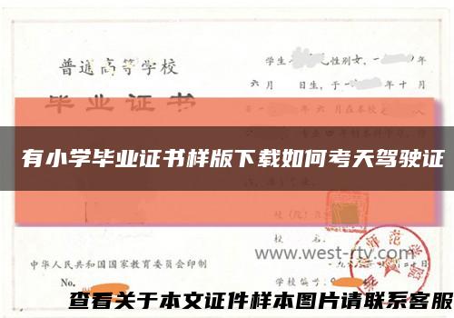 沒有小学毕业证书样版下载如何考天驾驶证缩略图