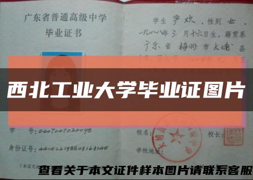 西北工业大学毕业证图片缩略图