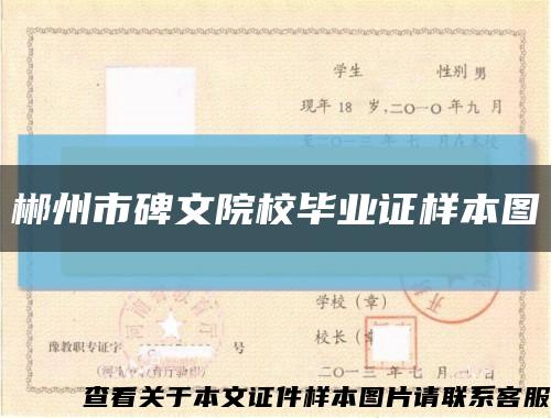 郴州市碑文院校毕业证样本图缩略图