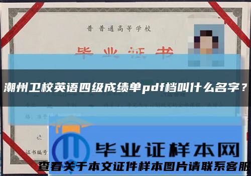 潮州卫校英语四级成绩单pdf档叫什么名字？缩略图