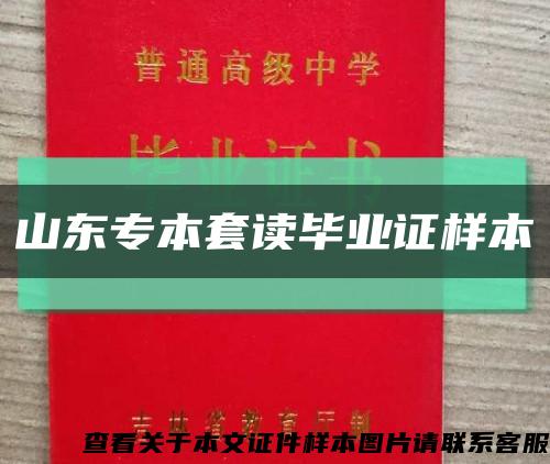 山东专本套读毕业证样本缩略图