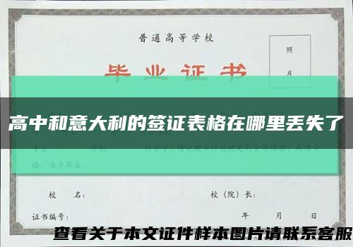 高中和意大利的签证表格在哪里丢失了缩略图