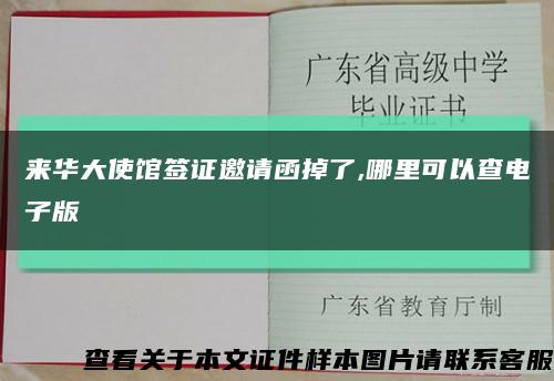 来华大使馆签证邀请函掉了,哪里可以查电子版缩略图