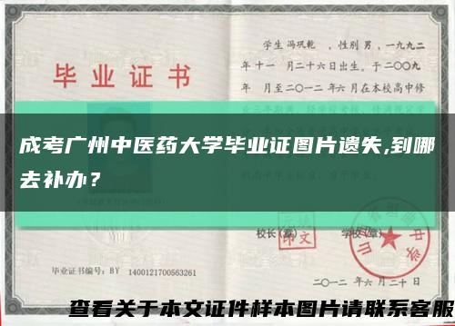 成考广州中医药大学毕业证图片遗失,到哪去补办？缩略图