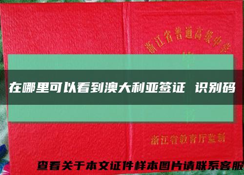 在哪里可以看到澳大利亚签证 识别码缩略图