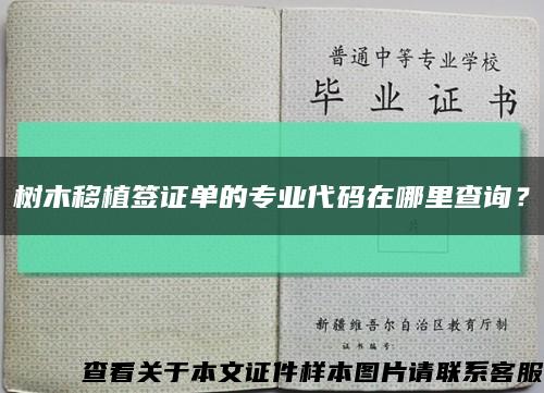 树木移植签证单的专业代码在哪里查询？缩略图