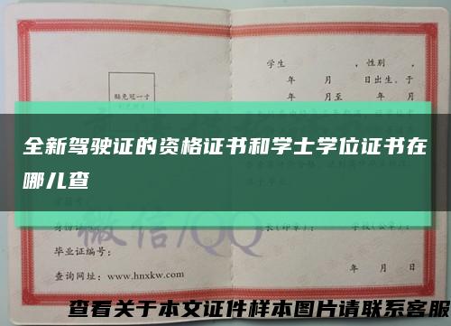 全新驾驶证的资格证书和学士学位证书在哪儿查缩略图