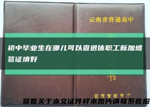 初中毕业生在哪儿可以查退休职工新加坡签证填好缩略图