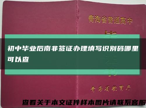 初中毕业后南非签证办理填写识别码哪里可以查缩略图