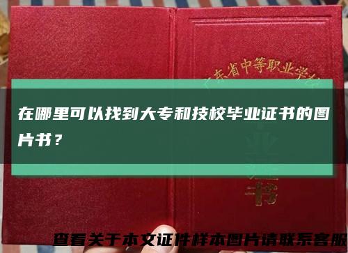 在哪里可以找到大专和技校毕业证书的图片书？缩略图