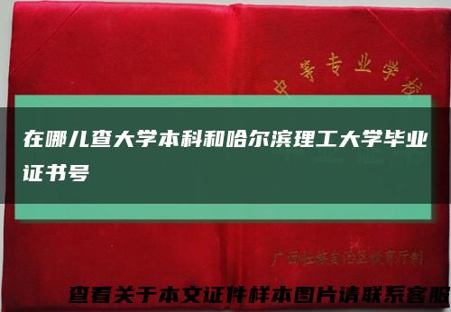 在哪儿查大学本科和哈尔滨理工大学毕业证书号缩略图